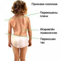 Правилното хранене за юноши - основни точки