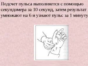 Причините за повишаване на сърдечната честота и сърцебиене (причината) Причините за повишаване на сърдечната честота и сърцебиене