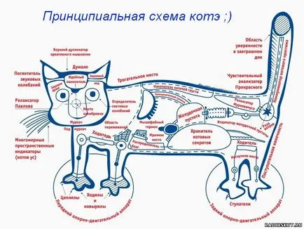 схематична диаграма
