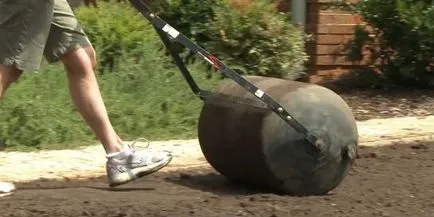 Hogyan növény gyep fű