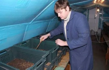 Hogyan szaporodnak a hazai férgek