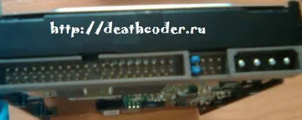 Halál coder