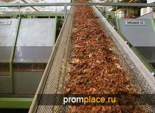 производство на цигари - когато е започнало и как работи