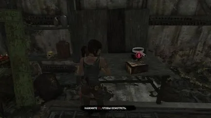 Passage Tomb Raider (2013)