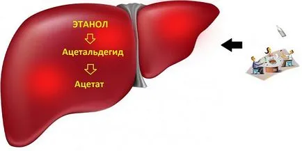 Разделянето на алкохол в изходяща скорост на етанол тяло повишение