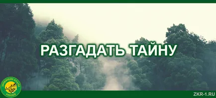 Разгадае мистерията, звънене Cedars български новини, снимки, книги, цитати (обяснявам) Разгадае мистерията, шум Cedars български новини, снимки, книги, цитати