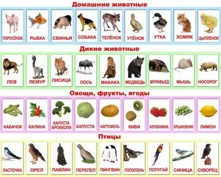 Различни техники, как да се научи детето да чете 5-6 години (за деца) Различни техники, как да се научи детето да чете по 5-6 години