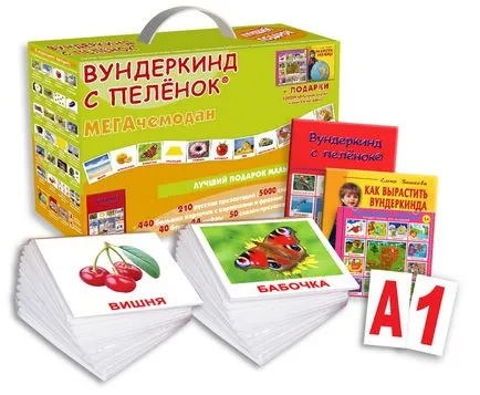 Различни техники, как да се научи детето да чете 5-6 години (методи) Различни техники, как да се научи детето да чете по 5-6 години