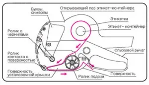 Препоръки за избор на разни