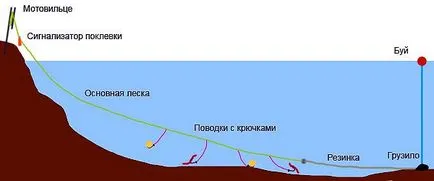 Риболов на венеца и правилен монтаж на съоръжения