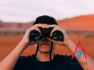 Проследяване наследници - дали нотариуса да търсят законни наследници