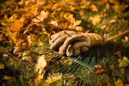 Garden изпълнява специално подбор и съхранение