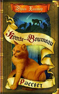 Поредица от онлайн книги 