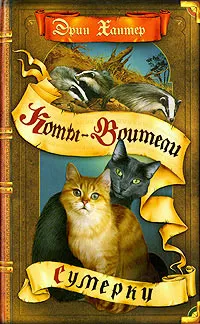 Поредица от онлайн книги 