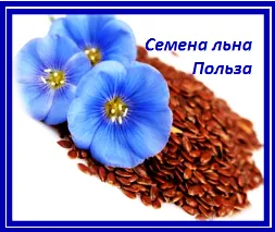 ленено семе
