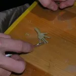 Tegye a kezét a babák műhelyek (kéz) Tesszük kezét babák, mesterkurzusok
