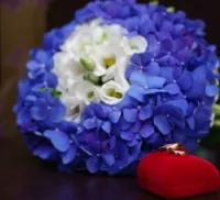 Blue булчински букет от цветя какво да избират булката (сватба) Blue булчински букет от цветя какво да избират булката