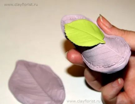 Силиконови форми - какво е това и защо