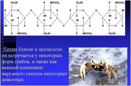 Комплексните въглехидрати - списък на продуктите и на масата