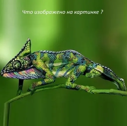 сложни пъзели