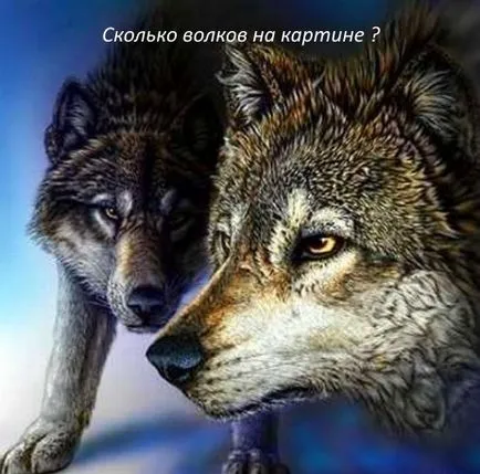 сложни пъзели