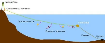 Разрешаването на венците как да се направи справяне с дъвка с ръцете си за улов на дъвка