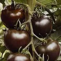Клас 