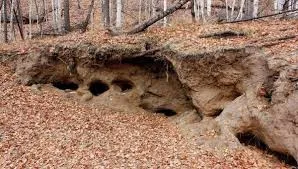 Сол за близане за животни, много лов
