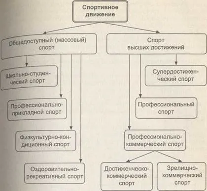 Социална функция на спорта (масов спорт движение) Социална функция на спорта