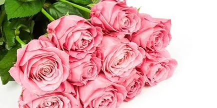 Rose мечта книга какво мечта роза мечта