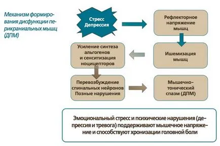 Соматологични дисфункция на вегетативната нервна система, симптомите и лечението на заболяването