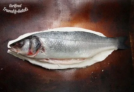 Salt черупката