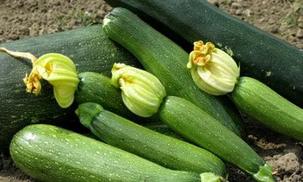 Списък с полезни алкални храни, за да помогне за предотвратяване на рак
