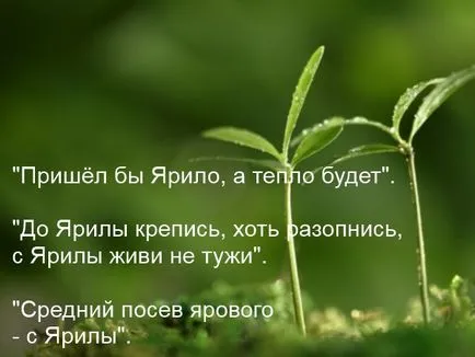 В статията 