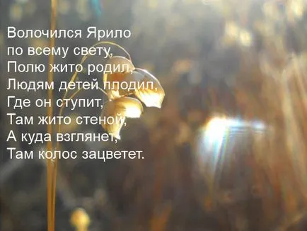 В статията 