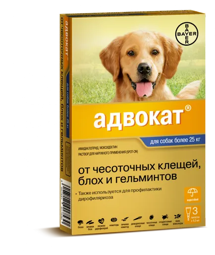 Средства адвокат за кучета и котки - прегледи, стойност и инструкции за употреба
