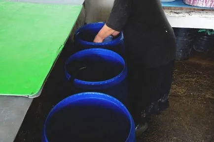 Suluguni как да се готви у дома, рецептата със снимка
