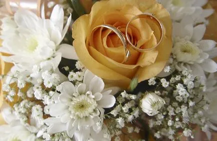 Сватбени букети от хризантеми букет от хризантеми (Chrysanthemum) Сватбени букети от хризантеми букет от хризантеми