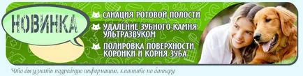 Szolgálatban éjjel-nappal állatorvosi klinikán alfa állatorvos, állatorvosi klinikán Samara, Samara Központ (Alpha-Vet) Szolgálatban éjjel-nappal állatorvosi klinikán alfa állatorvos, állatorvosi klinikán Samara, Samara belvárosa,
