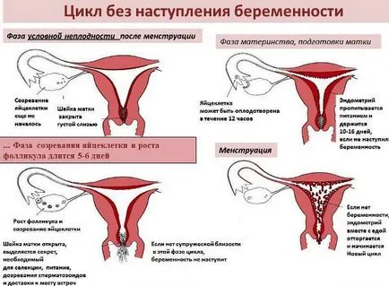 Таблетите, причинявайки месечно - при закъснение, какво да пият, името (таблетки) Таблетите, причинявайки месечно - при закъснение, какво да пият, името