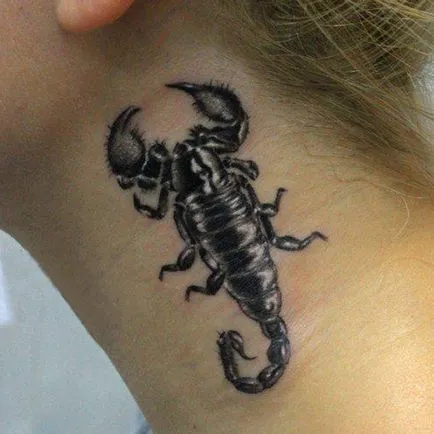 Scorpion татуировка - стойност и снимка скорпион татуировка