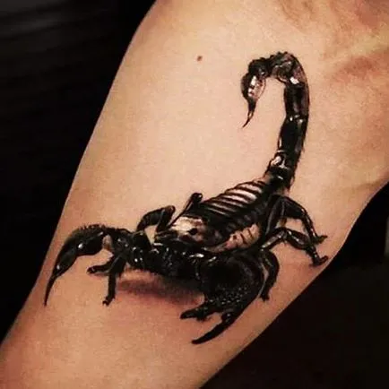 Scorpion татуировка - стойност и снимка скорпион татуировка