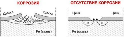 Видове поцинкована тялото кола