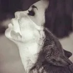 Trikki - тестове за момичета