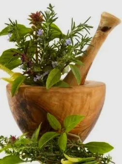 Trichologists препоръчват маски за изтощена коса