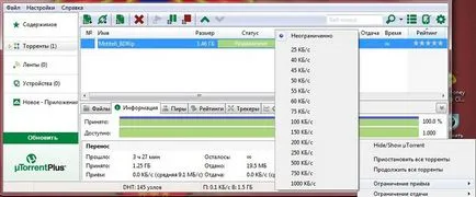 Torrent как да се използват торенти, рецепции, светодиоди лийчър
