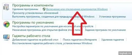 Премахването или забраняването на браузъра Internet Explorer (изключен) Премахването или забраняването на браузъра Internet Explorer