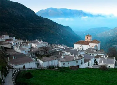 Ама 