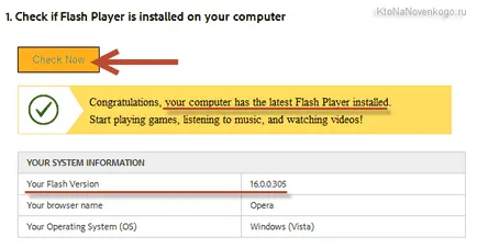 Остаряла или не работи Adobe Flash Player