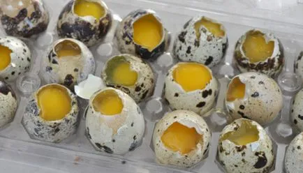 Вашите права в правната консултация ресторант 10